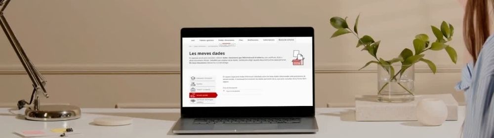 Descarregar el certificat de discapacitat per internet
